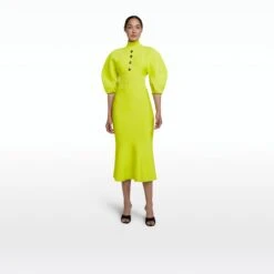 Layla Tendershoots Midi Knit Dress